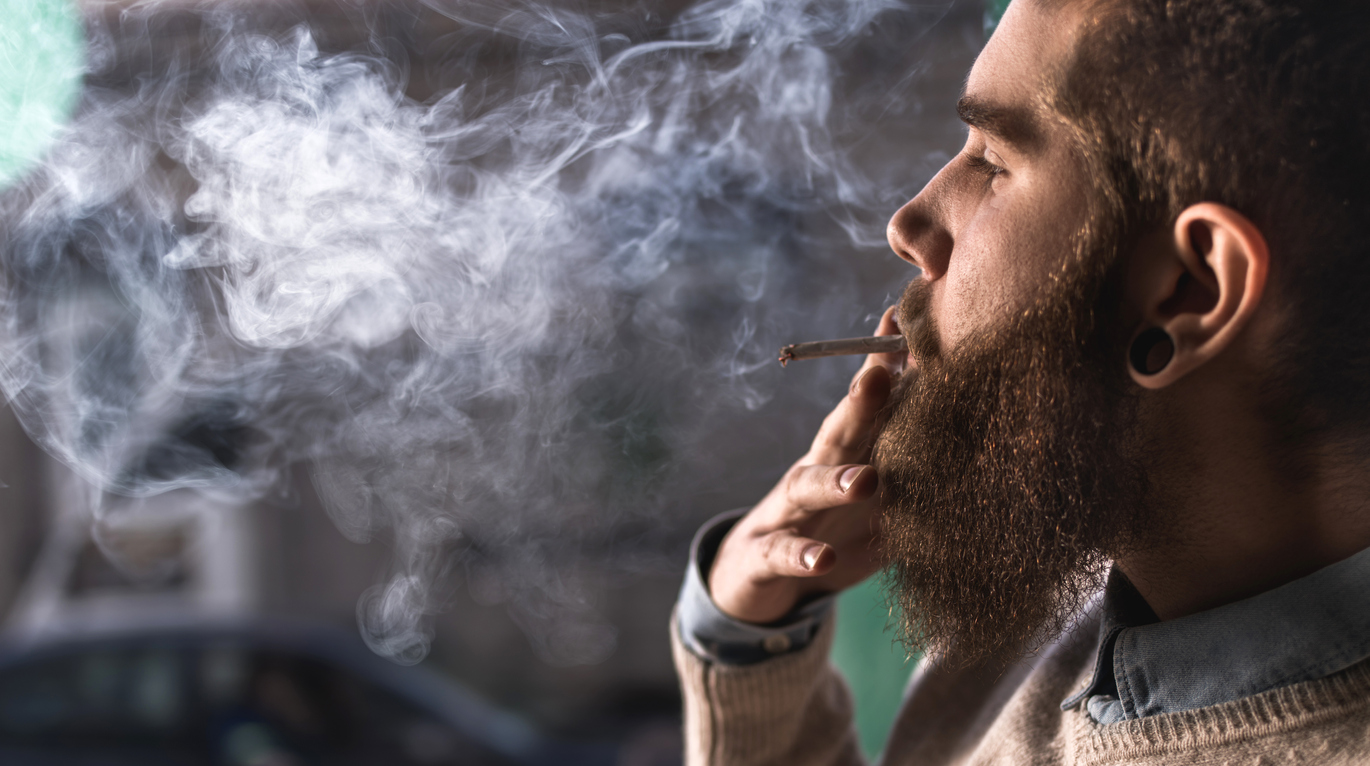 The Pot Smoker's Guide to Eliminating stank odors fast